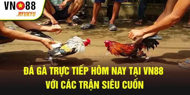 đá gà trực tiếp hôm nay