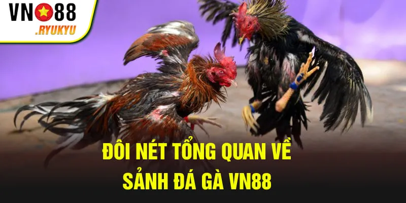 Đôi nét tổng quan về sảnh đá gà VN88