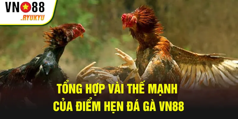 Tổng hợp vài thế mạnh của tụ điểm đá gà VN88